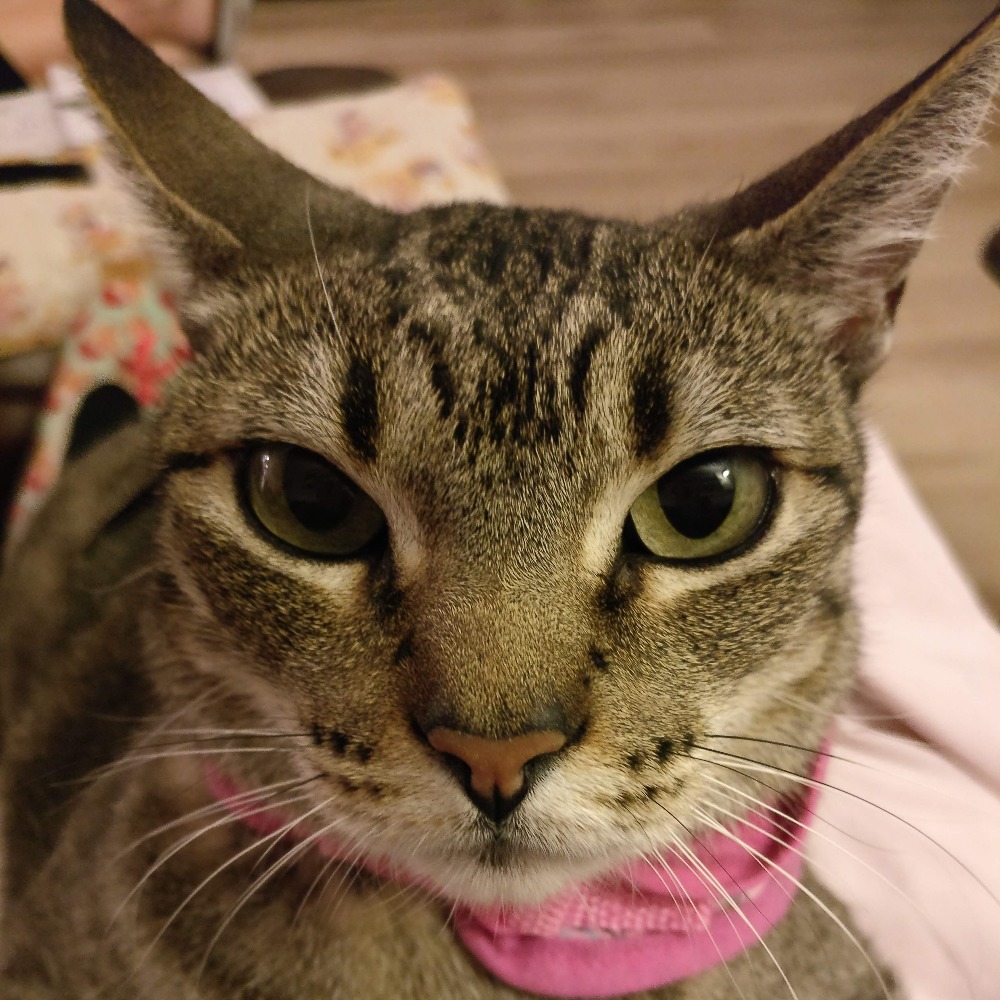 Meet your Posher, Tere